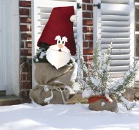 Winterschutz Motiv Santa